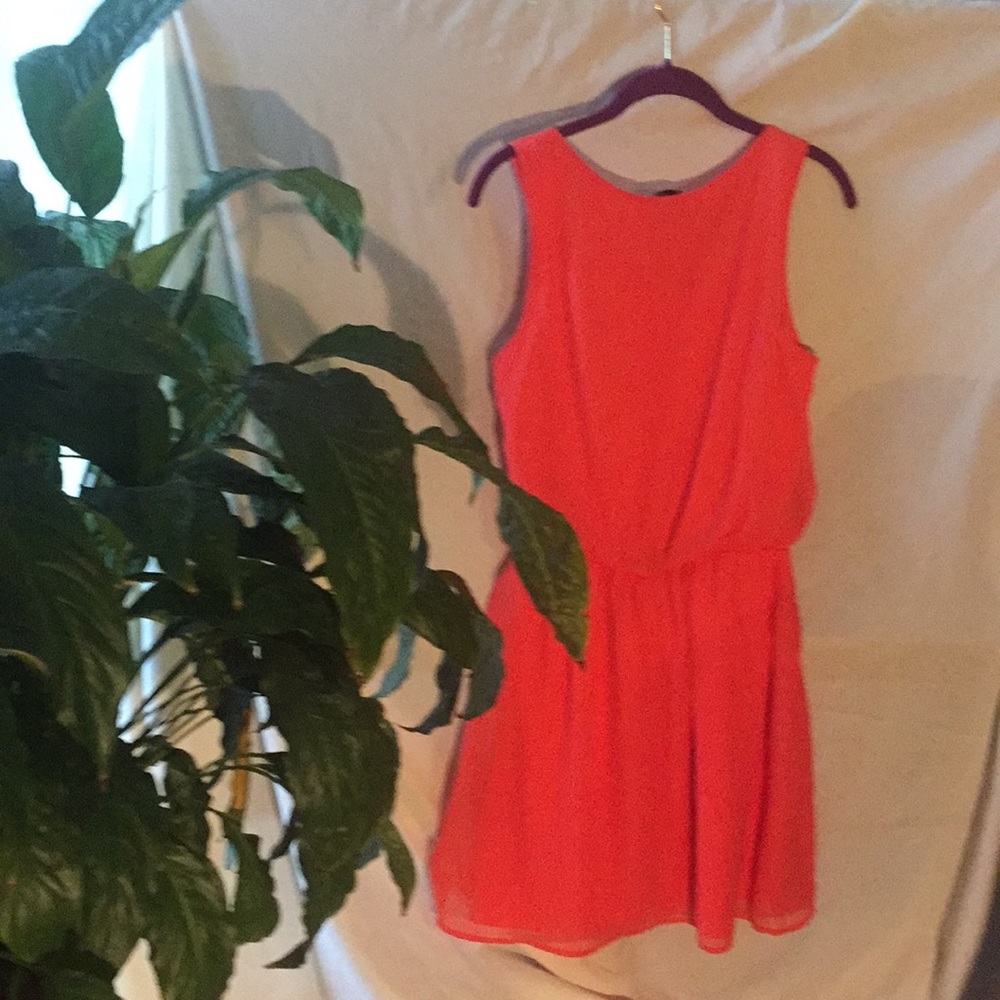 Dress - Picture 3 of 4